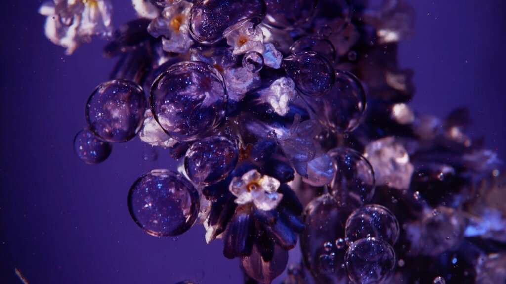 Infiniment Coty video preview