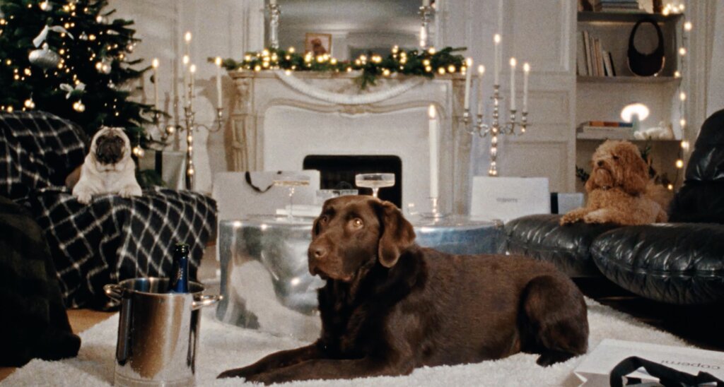 Coperni video preview