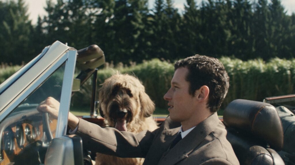 Louis Vuitton Mens video preview