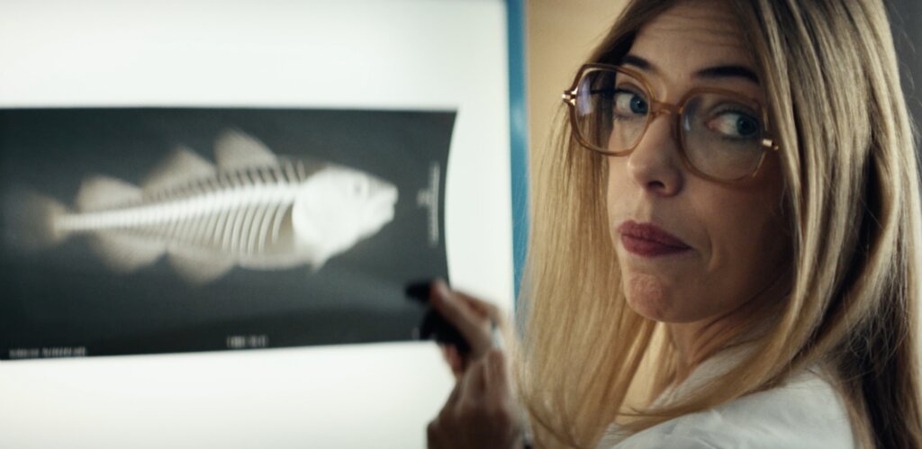 Maison Briau video preview