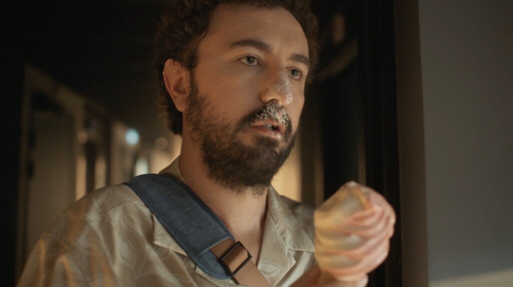 Ibis video preview