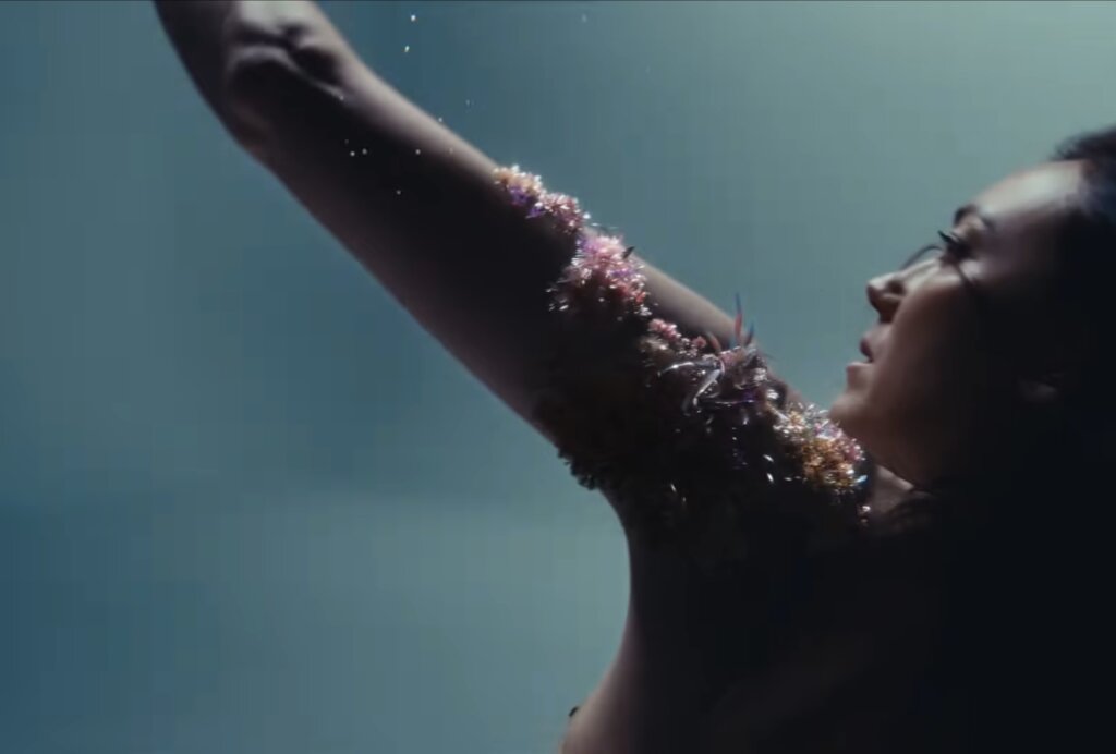 DeLaurentis-I&rsquo;m just a rose video preview