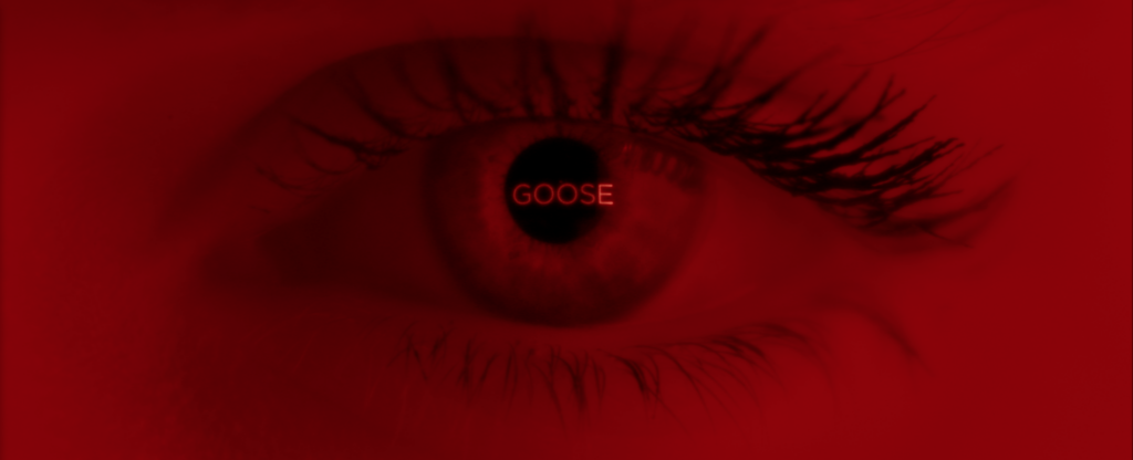 Goose – Your Ways video preview