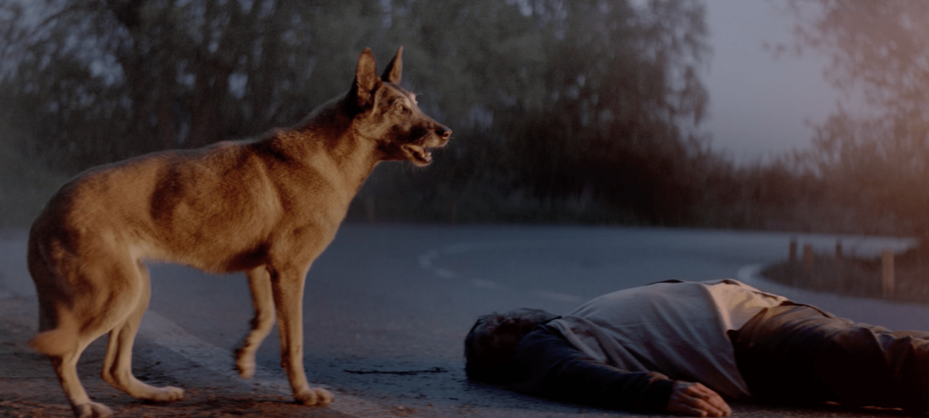 30 millions d’amis video preview