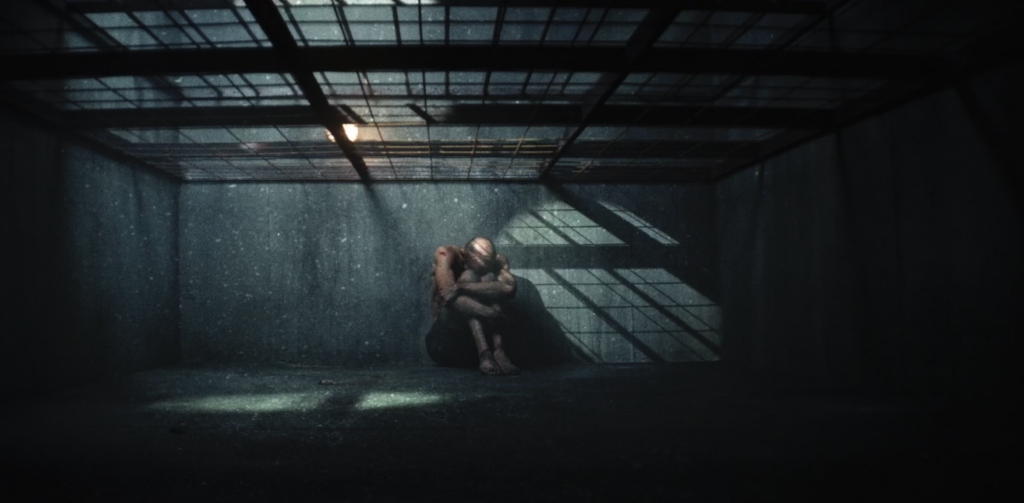 Reporters Sans Frontières video preview